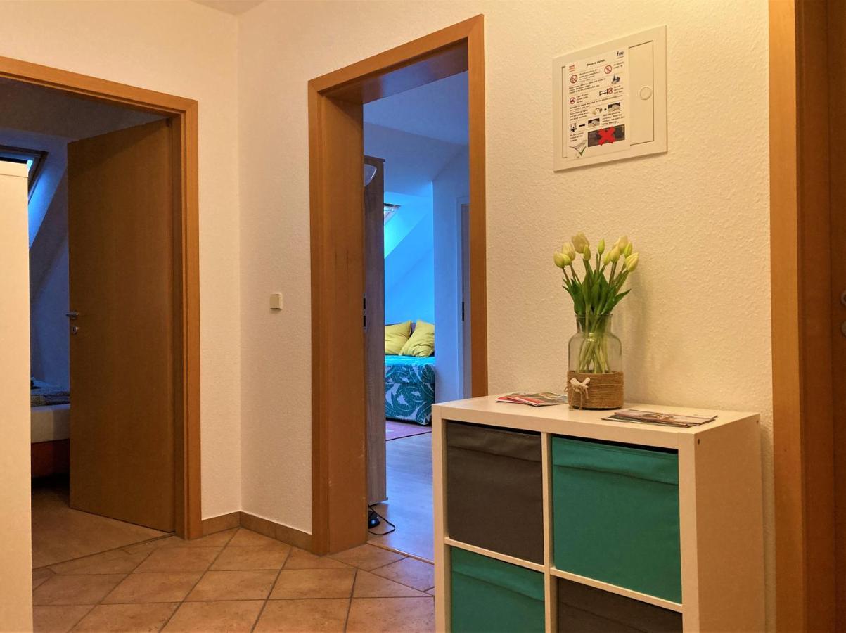 Zentral Gelegene Wohnung Nahe Schwanenteich Zwickau Exterior photo